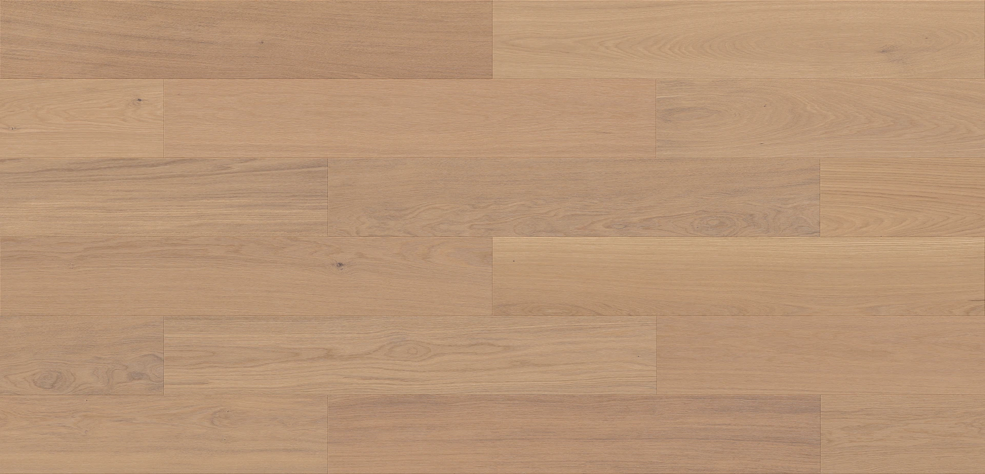 Tölgy Evana Esthetic