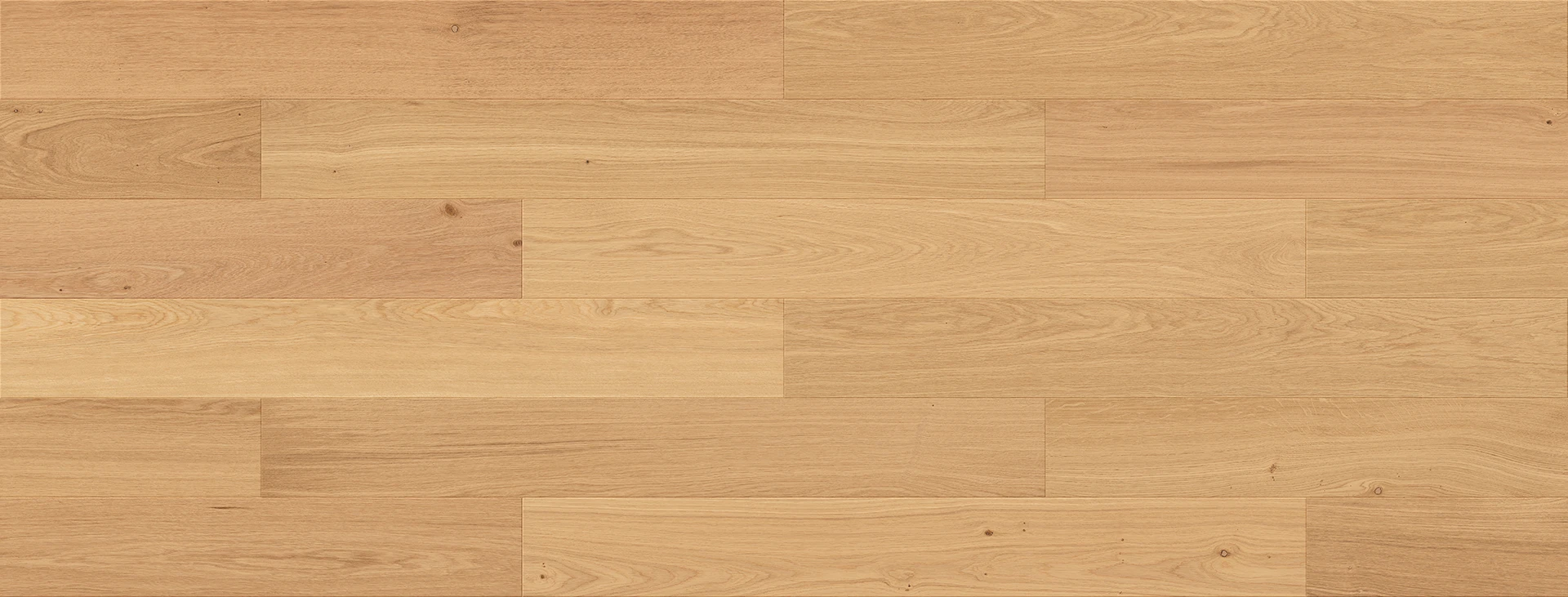 Tölgy Futuris Esthetic